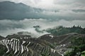 FoggyÃÂ  panorama. Misty autumn landscape with rice terraces.